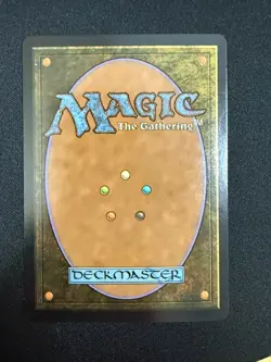 The Cabbage Merchant (FOIL) - Avatar (MTG) NM - Image 2