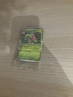 Pokemon TCG - Mega Evolution - STAFF Prerelease Promos - Full Set of 4 - SEALED - Image 4