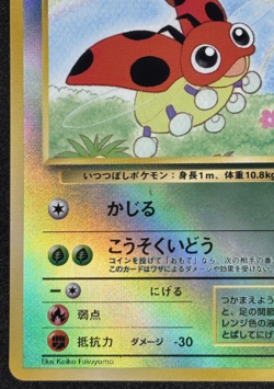 1999 Pokemon Southern Island Ledyba Reverse Holo Japanese - Image 4