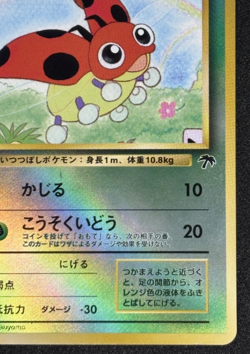 1999 Pokemon Southern Island Ledyba Reverse Holo Japanese - Image 5