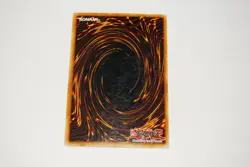 YuGiOh Dark Paladin DMG-001 Limited Edition & Relinquished SDP-001 1st Ed. Cards - Image 2