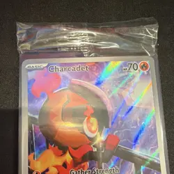 Pokemon Charcadet Promo Holo Pack Mega Evolution Phantasmal Flames Elite Trainer - Image 4