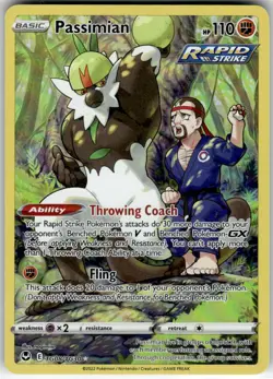 PASSIMIAN - TG08/TG30 - HOLO - SILVER TEMPEST TRAINER GALLERY - POKEMON - - NM - Image 2