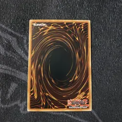 BPRO-EN041 Ecclesia and the Dark Dragon : Secret Rare 1st Edition Mint YuGiOh Ca - Image 2