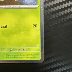 Chikorita MEP 069 - NM Pokemon Mega Evolution Perfect Order Holo Promo - Image 5