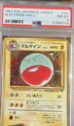 1997 Japanese Pokemon Jungle Electrode #101 Holo PSA 8 Near Mint - Mint - Image 2