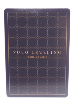 HR SL1E-091 Sung Jinwoo Mapniverse Solo Leveling HR Anime Trading Card - Image 2
