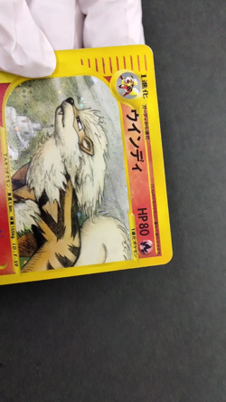 Arcanine Skyridge e 2002 017/088 Holo Lightly Played Japanese Pokemon card - Image 2