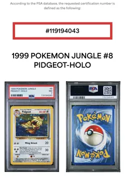 1999 Pokemon Jungle Pidgeot #8/64 Holo Pokemon Near Mint PSA 7, Free Shipping - Image 3