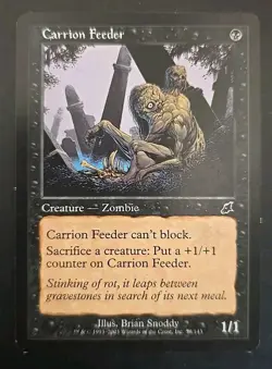 Carrion Feeder Scourge MTG Regular Lightly Played - Image 1