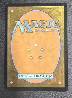 Elegy Acolyte (Borderless) 293 NM Normal R MTG Magic Edge of Eternities - Image 2