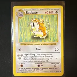 Pokemon Raticate Base Set (Shadowless) 40/102 60 HP Uncommon Regular English - Image 1