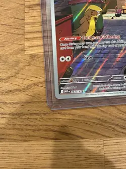 Pokemon Gumshoos Holofoil Illustration Rare ME01: Mega Evolution 153/132 NM - Image 5
