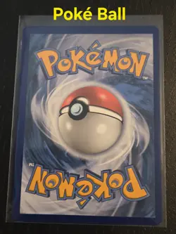 Pokemon Celebrations Pikachu V and Poke Ball Gold Promos SWSH145 SWSH146 - Image 5