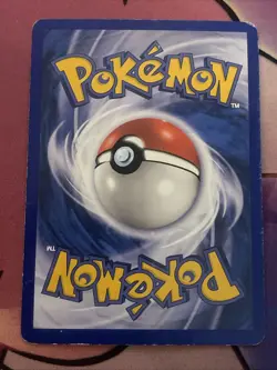 Cyndaquil 59/100 EX Sandstorm Common Pokemon Card English - Image 2