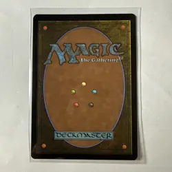 MTG Spider-Punk R0210 FOIL (Borderless) Marvel's Spider-Man NM - Image 2