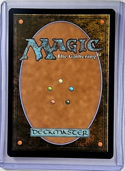 2025 MTG Magic the Gathering Secret Lair Drop Foil Furby #2319 Tormenting Voice - Image 2