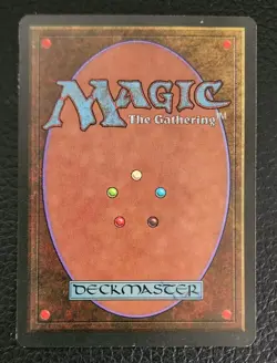 Magic the Gathering (MTG) - Scarwood Bandits - The Dark (Green) (Forest) LP/NM - Image 2