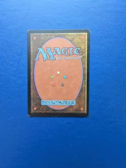 MTG Fervor Weatherlight - EX - Image 2