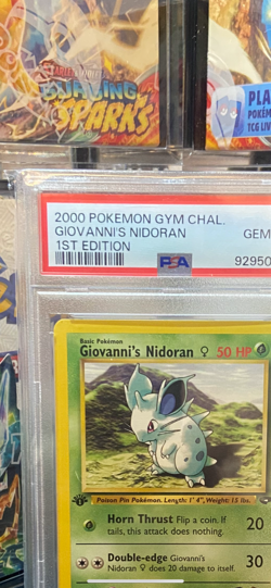 Pokemon Gym challenge 1st edition Giovanni's Nidoran PSA 10 - Image 2