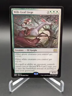 Wilt-Leaf Liege Double Masters 2022 Regular - Image 1