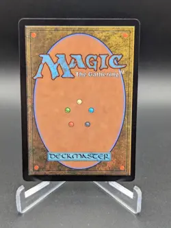 Wilt-Leaf Liege Double Masters 2022 Regular - Image 2