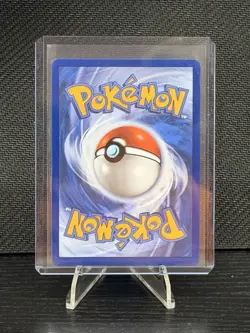 Pokemon First Partner Illustration Squirtle 037 Black Star Promo Series 1 Kanto - Image 2
