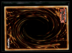2002 Yu-Gi-Oh! - Seiyaryu [Promo] DDS-004 Dark Duel Stories - Image 2