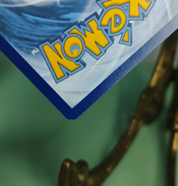 Pokemon Flareon EX (Full Art) RC28-32 Generations: Radiant Collection Holo TCG - Image 3