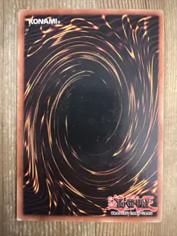 Yugioh! The Dark Door LON-093 Common Unlimited LP - Image 2