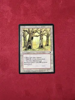 Havenwood Battleground - Fallen Empires MTG Magic The Gathering Classic Vintage - Image 1
