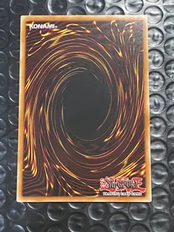 YuGiOh! - Fluffal Dog NECH-EN017 Rare 1st Edition Near Mint The New Challengers - Image 2