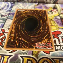Catapult Turtle (DLG - EN039) | NM | Yu-Gi-Oh! - Image 2