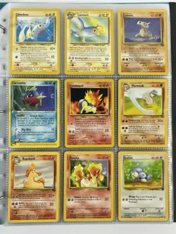 Pokemon Card Collection VTG Binder Holo Rare 1st E-Reader WoTC Tyranitar Eevee - Image 3