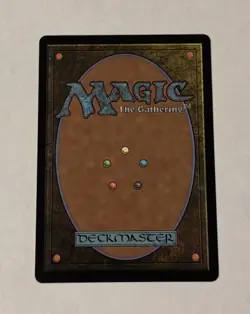 MTG The Walls of Ba Sing Se - Avatar The Last Airbender LP - Image 2