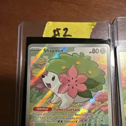 Shaymin Holo Illustration Rare Card 185/182 Sv10: Destined Rivals NM Condition - Image 5