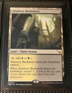 MTG MKM Land Lot: Shadowy Backstreet, Meticulous Archive - Image 1