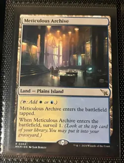 MTG MKM Land Lot: Shadowy Backstreet, Meticulous Archive - Image 2