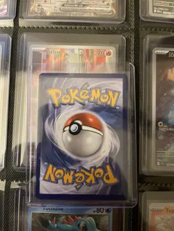 Pokemon TCG First Partner Illustration Set - Image 5