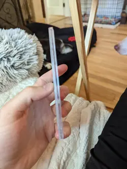 PSA 9 Psyduck - 2000 Pokemon Team Rocket 1st Edition 65/82 - Image 2