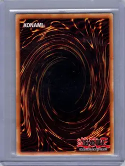 Timaeus The United Dragon BACH-EN003 Ultra Rare 1st Edition Yu-Gi-Oh! Card NM - Image 2