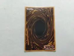 Black Rose Garden DOOD-EN055 Starlight Rare 1st Edition NM Yugioh - Image 2