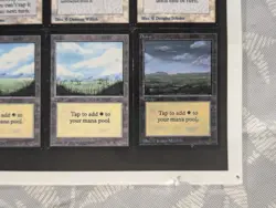 RARE 1993 MTG Beta Charity Fellowship Poster Set Complete with 20 Page Book - Image 4