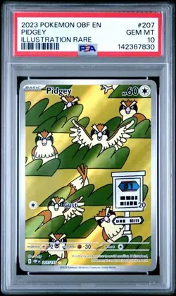2023 Pokemon Obsidian Flames Pidgey 207/197 Illustration Rare PSA 10 - Image 3