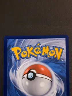 Charizard V Sword Shield Promo Holo Pokemon Card SWSH260 - Image 5