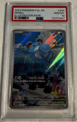 2023 POKEMON PAL EN MARILL #204 ILLUSTRATION RARE PSA 10 GEM MINT - Image 1