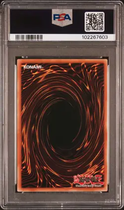 2024 YU-GI-OH! MP24-25TH ANV TIN: DUELING MIRRORS DARK MAGICIAN GIRL PSA 9 - Image 2
