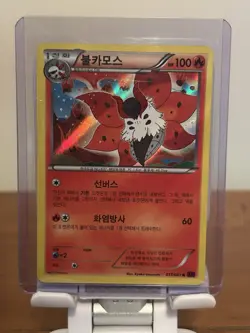 Holo Japanese Pokemon Card Lot - Pokemon TCG JP ( Holos Only) - Image 4