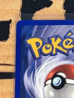 Expedition Squirtle 132/165 Pokemon 2002 Vintage Kyoko Umemoto Lightly Played - Image 3