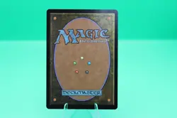 Wan Shi Tong, Librarian (Borderless) Foil -Avatar: The Last Airbender 0320 MTG - Image 5